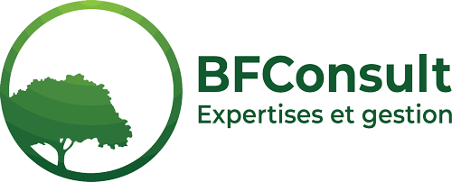 Logo of the companyBF Consult