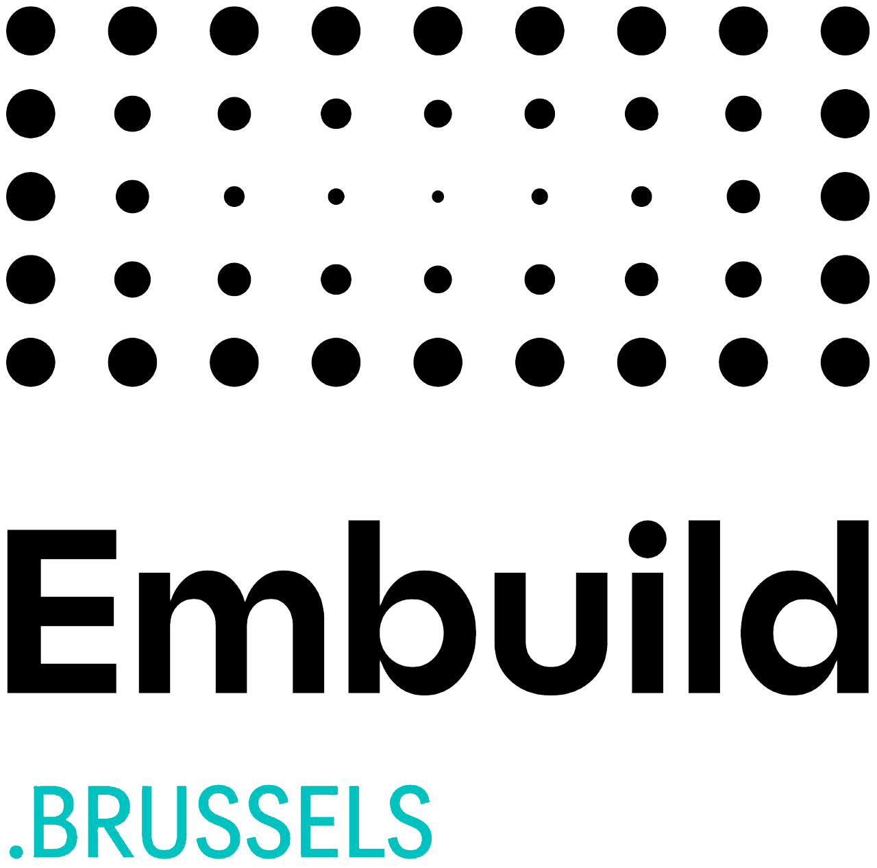 Logo de la société Embuild