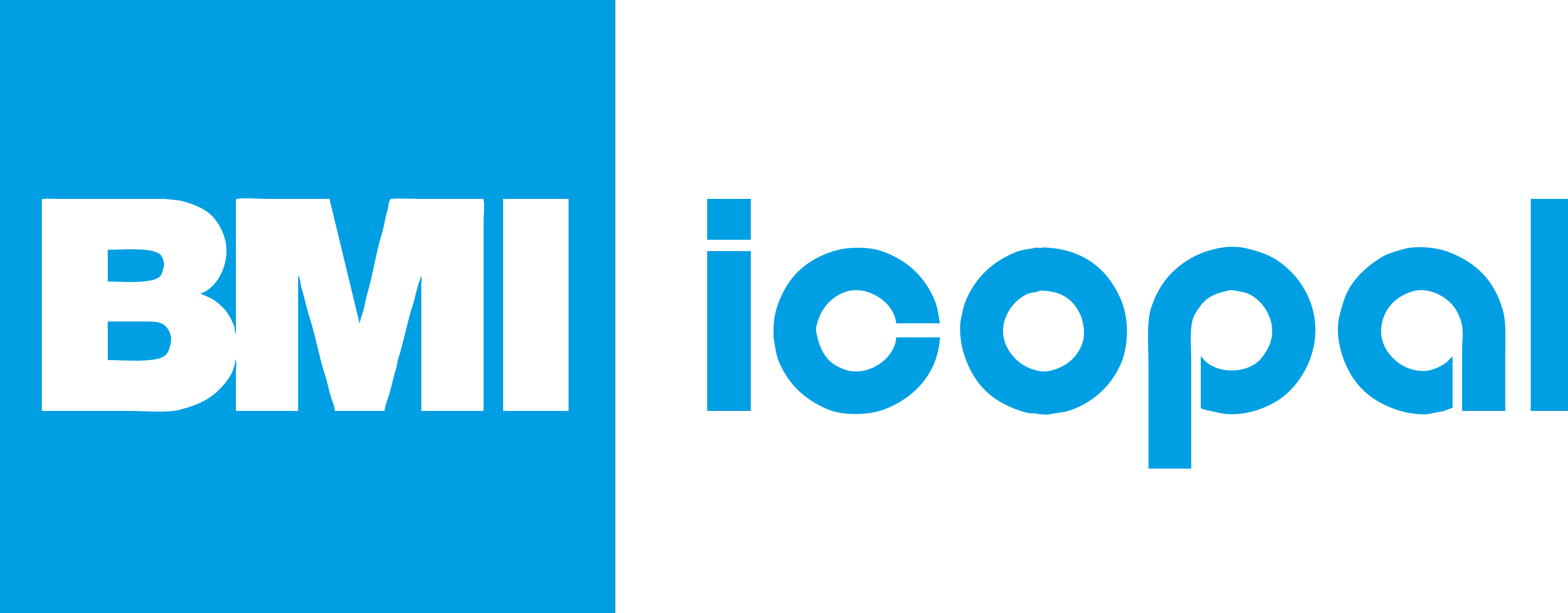 Logo de l’entreprise ICOPAL